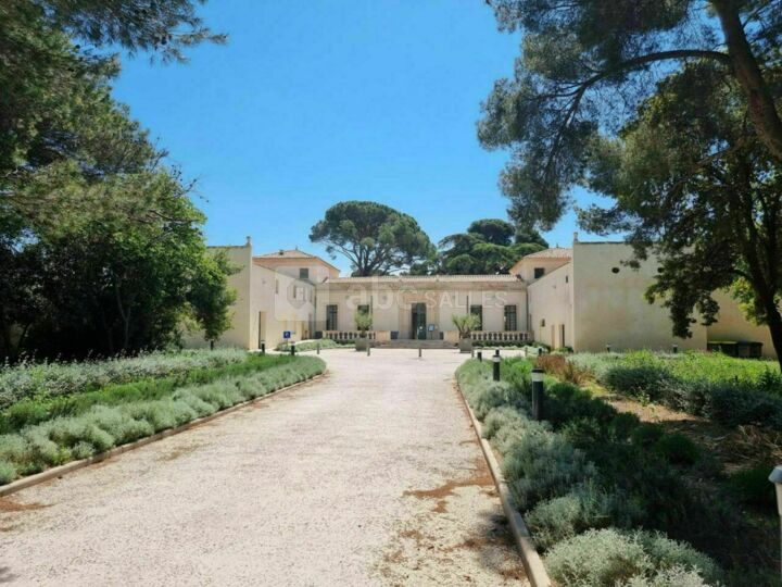 Domaine du Grand Puy
