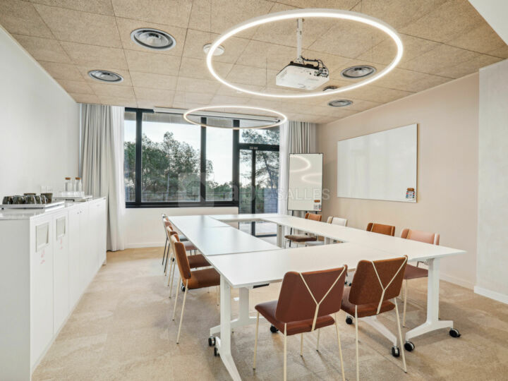 Newton Offices Sophia Antipolis