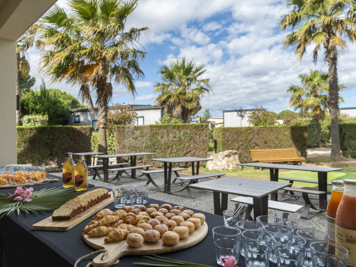 Jardin Tournesol
