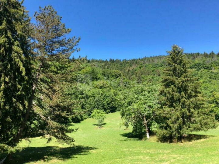 Le parc du Château de Montanges