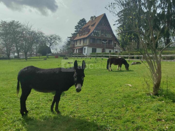 Mutuelle la Mayotte Association