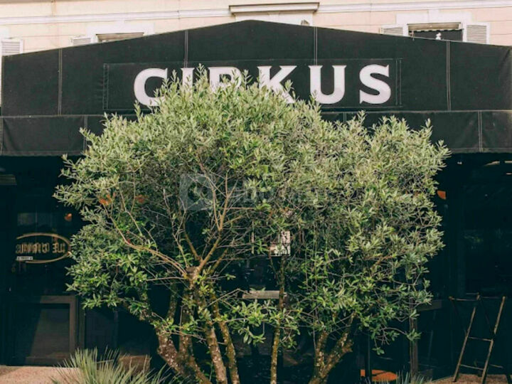 Le Cirkus