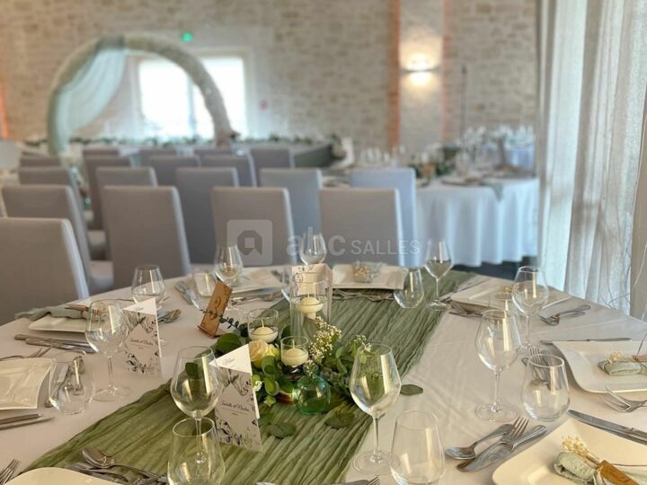 Domaine du Vieux Moulin