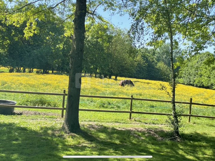 Domaine le Moulin du Bois