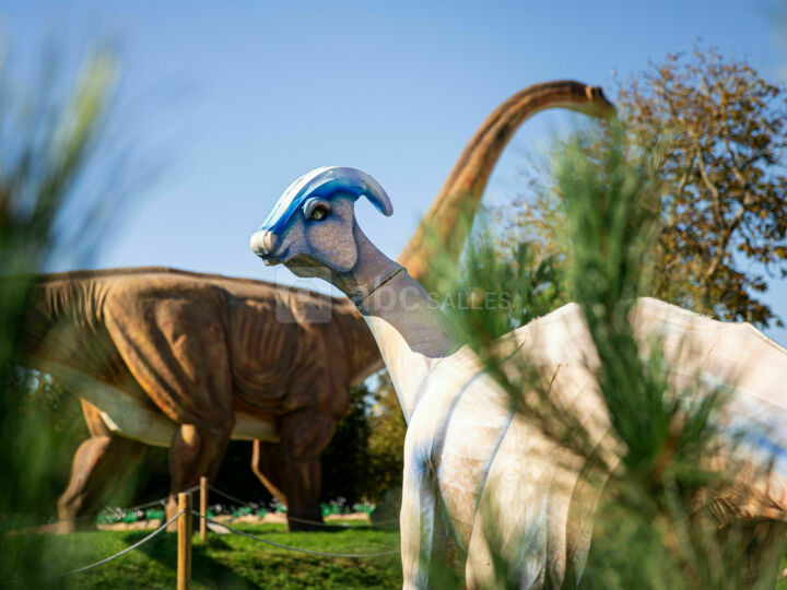 La galerie de découverte