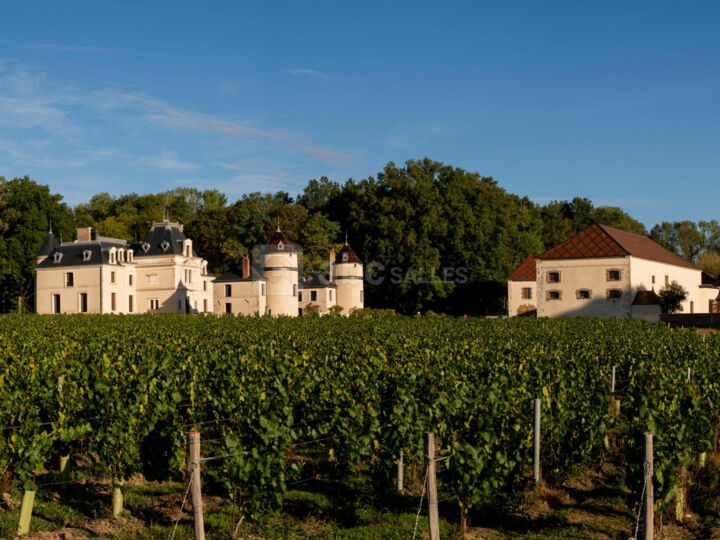 Château de la Grange Arthuis