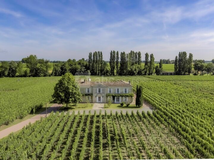 Château Fleur de Lisse - Vignobles Jade