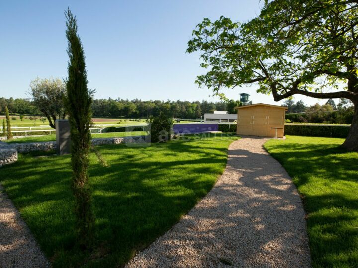 TERRAINS DE PETANQUE