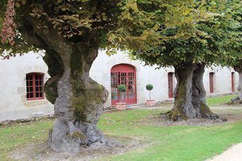 Château de la Cosse