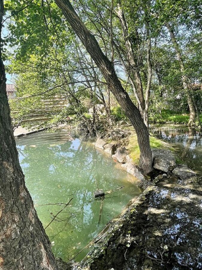 Bassin