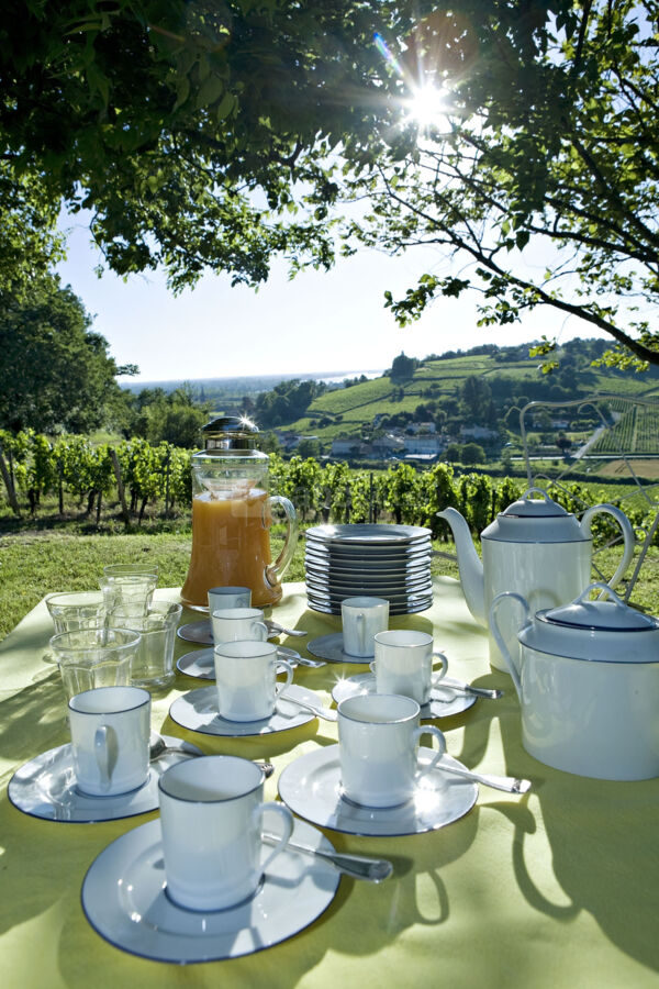 Brunch en nature le matin