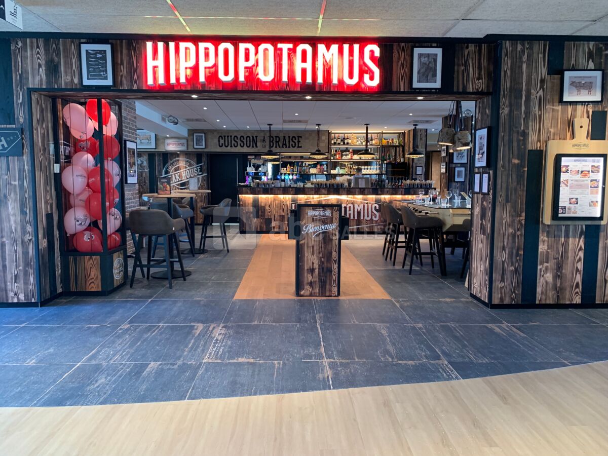 Hippopotamus
