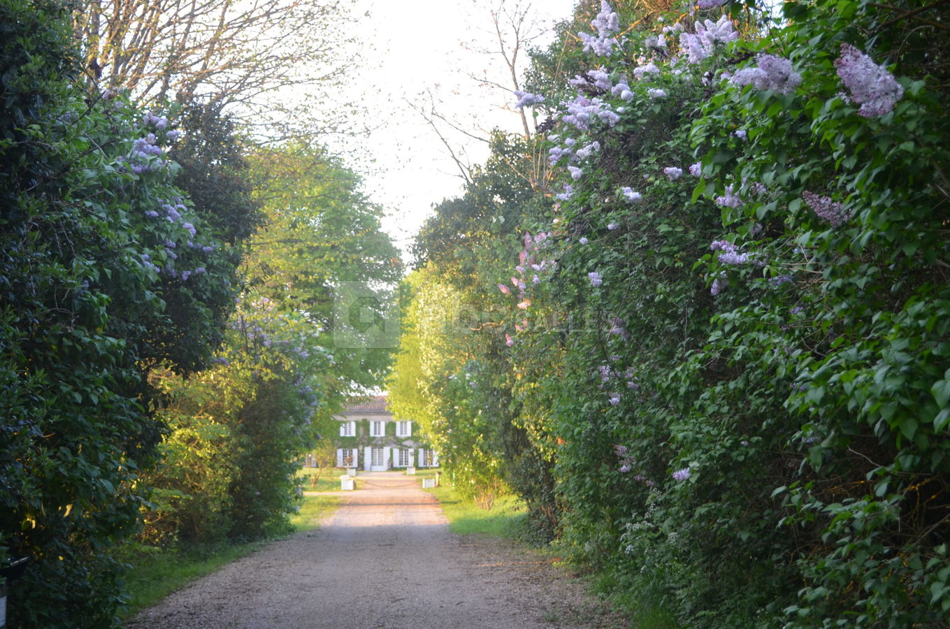 Arrivée sur la propriété au printemps