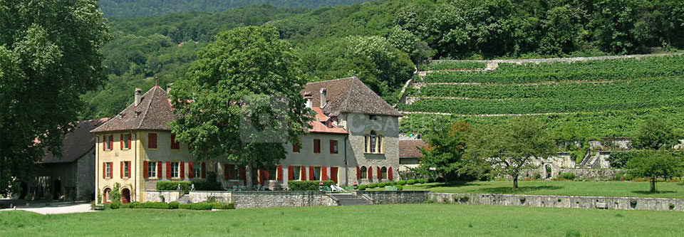 Domaine de la Lance