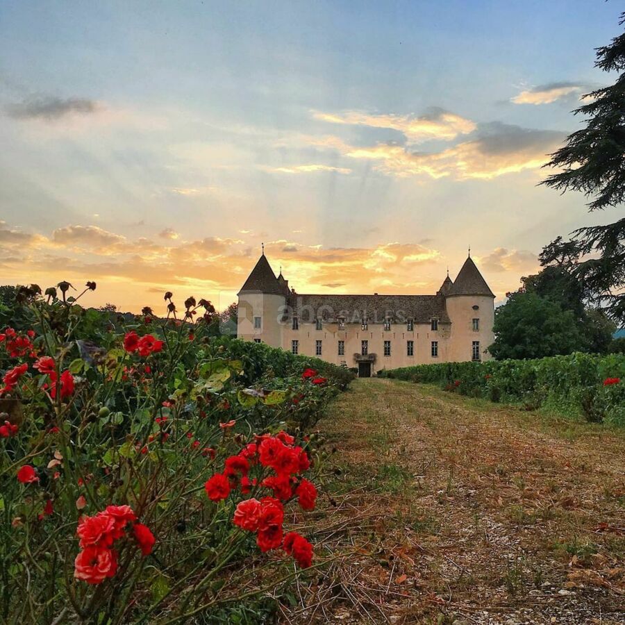 Château de Savigny-lès-Beaune