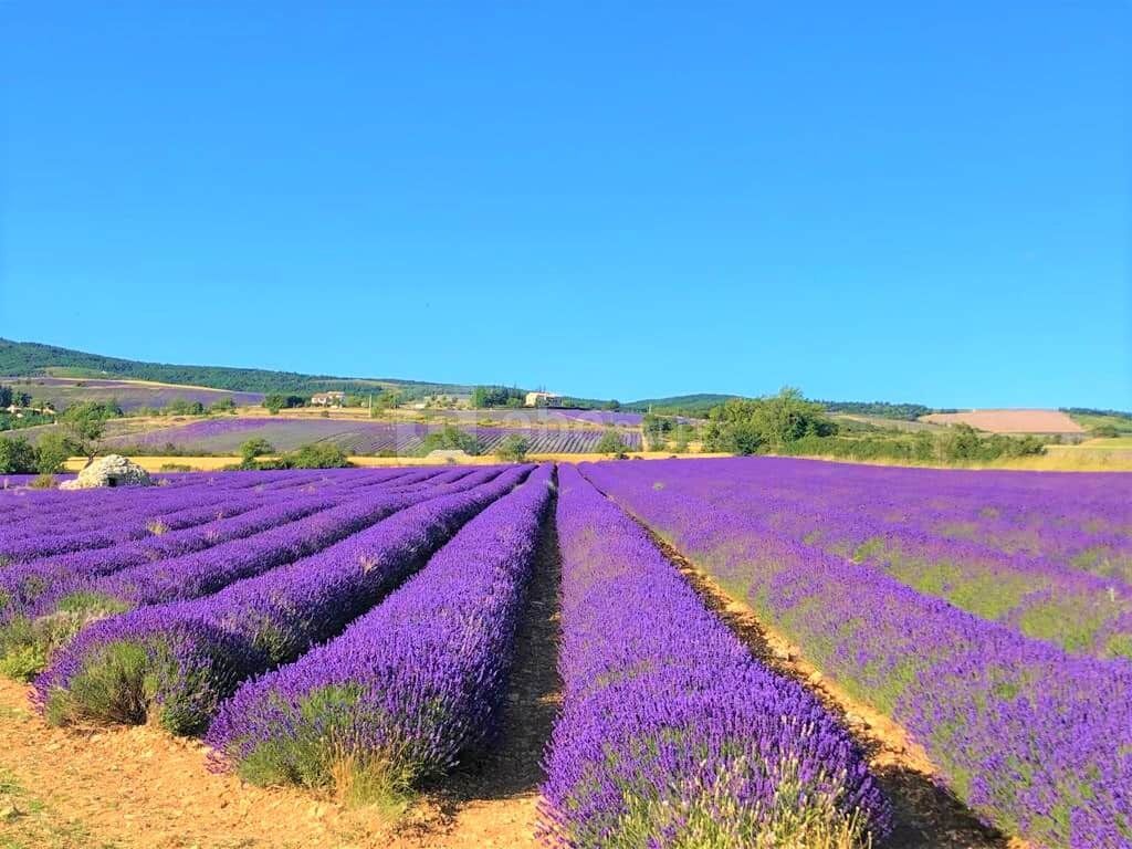 Domaine du Val de Sault