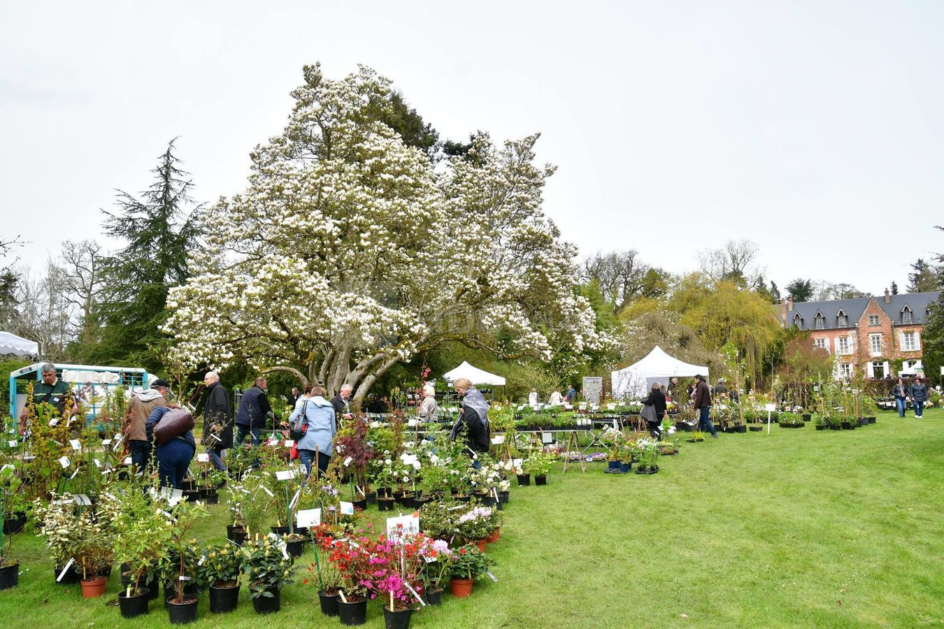 Arboretum de Balaine
