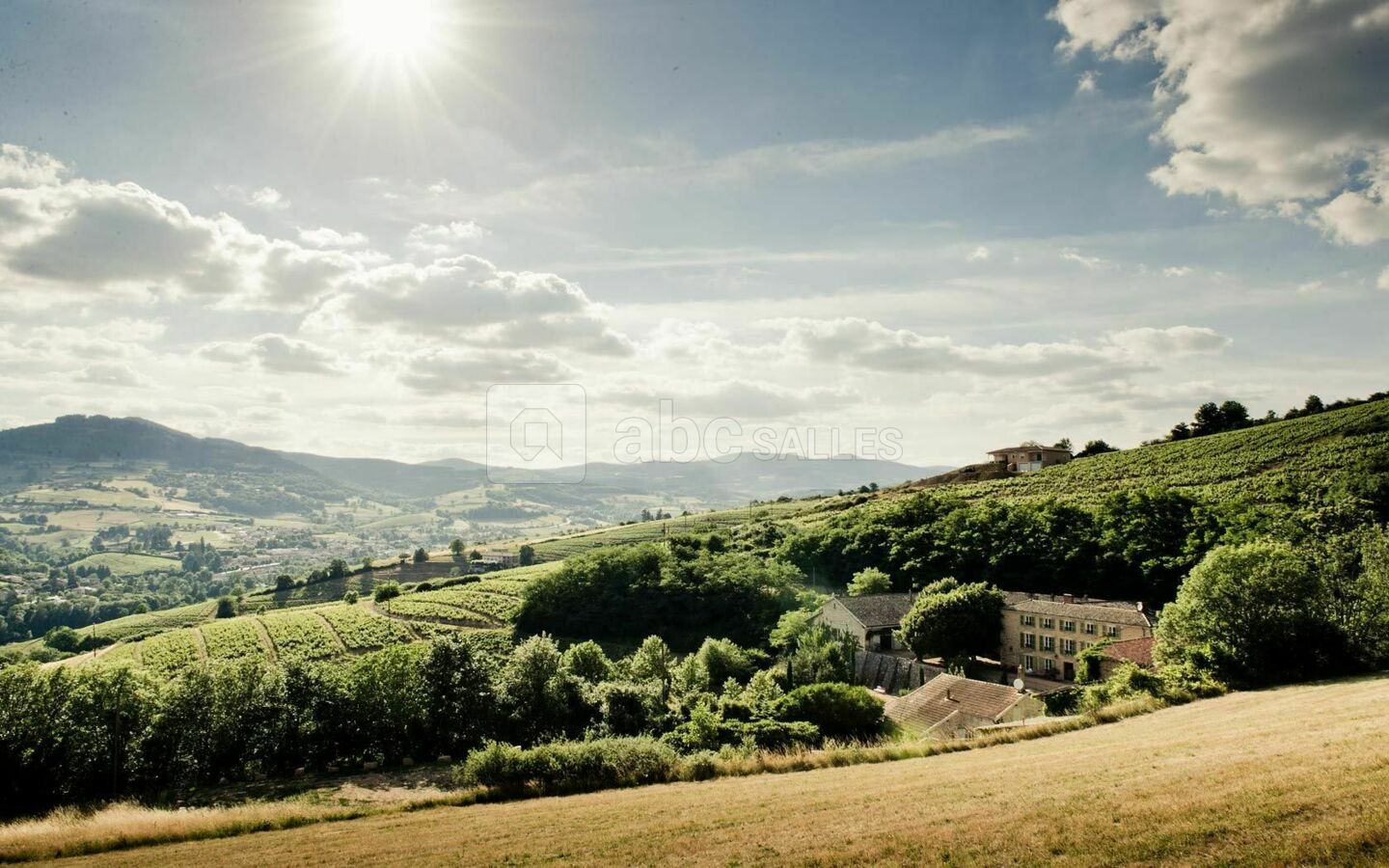 Le Domaine entouré de ses vignes