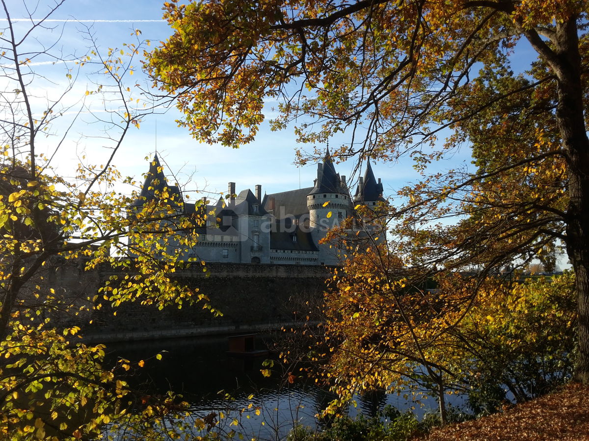 Chateau de sully a 20mn