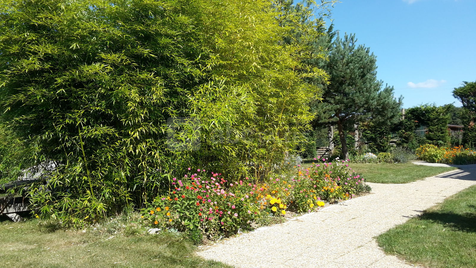 Grand jardin