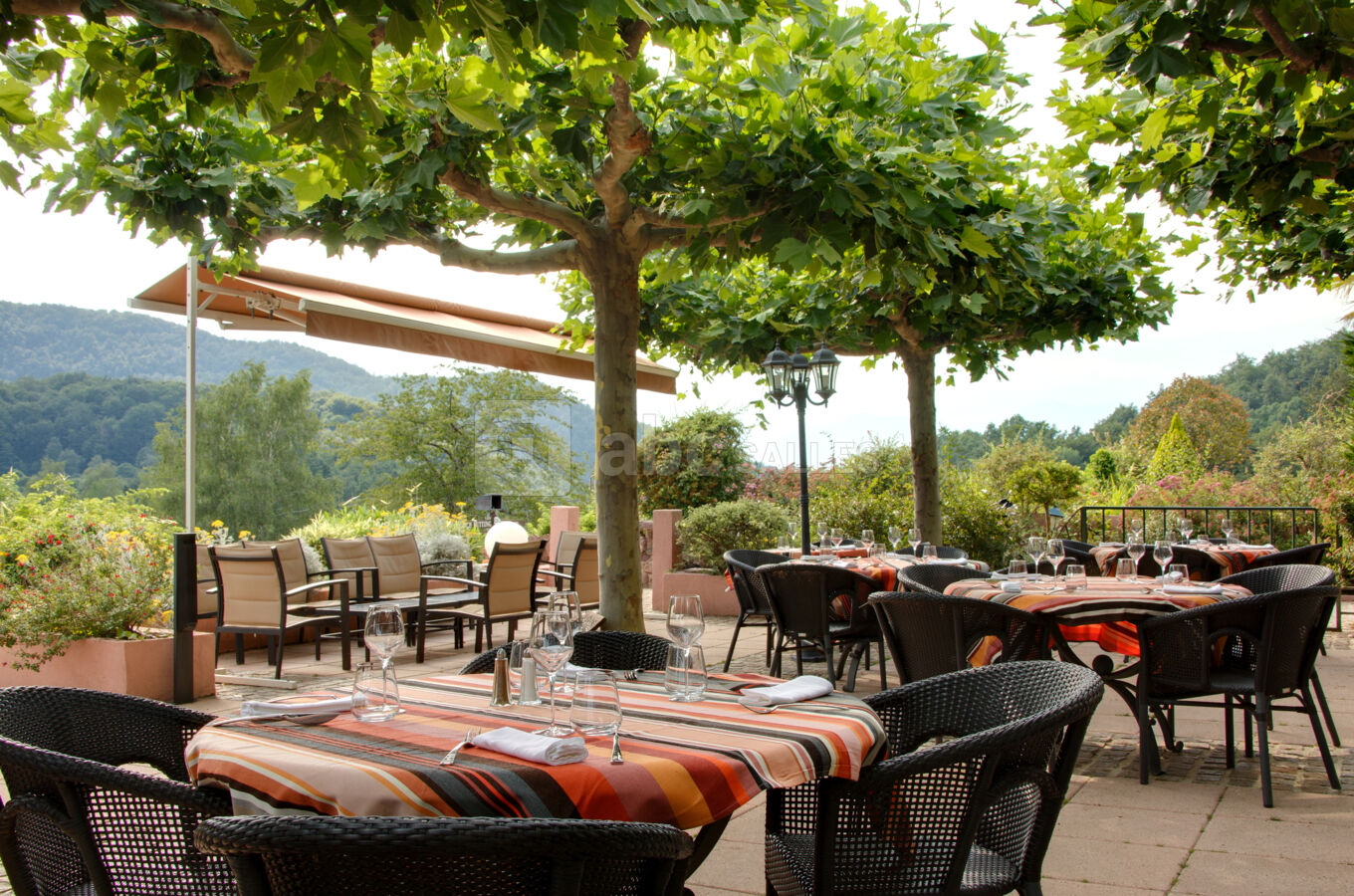 Terrasse