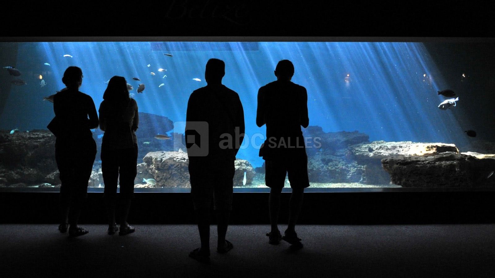 Un univers apaisant et porteur de sens