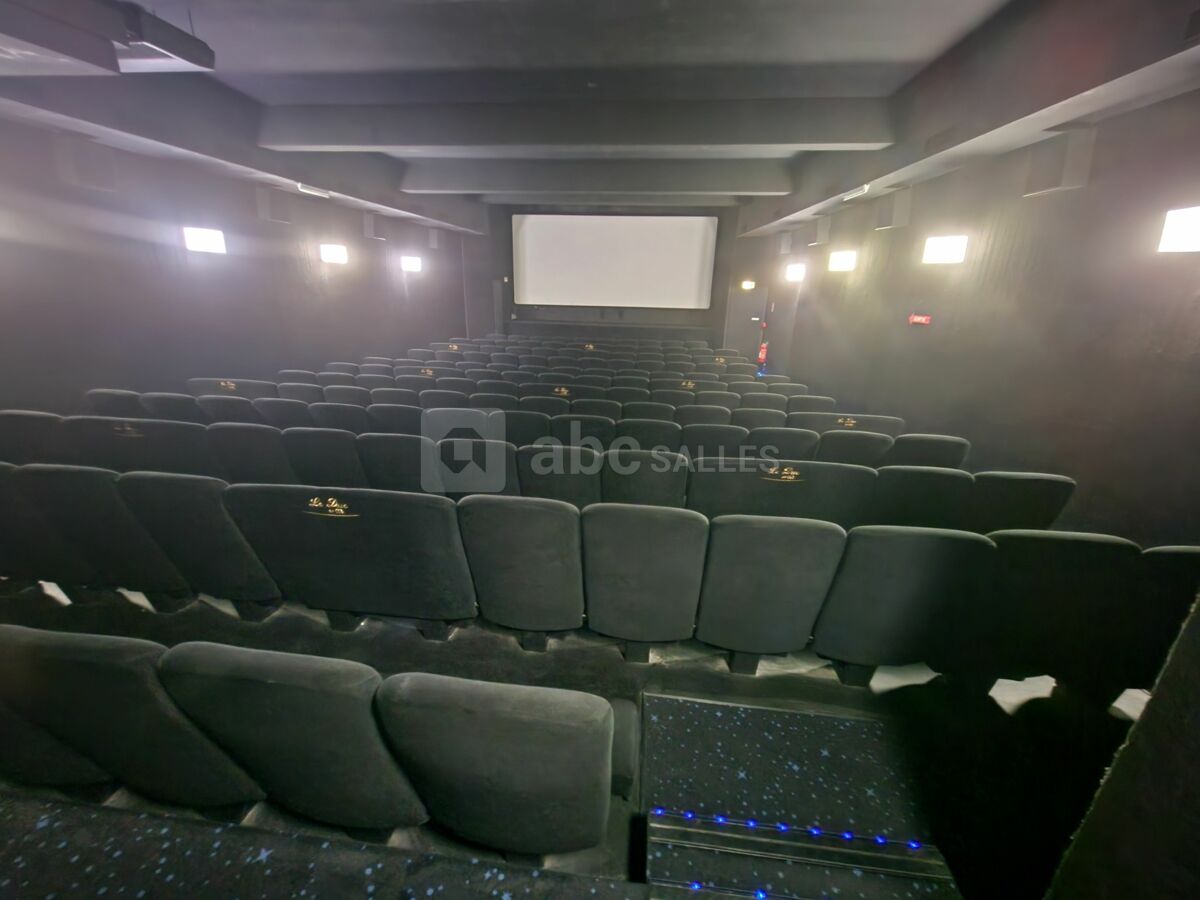 Salle 3, vue salle, 130 places