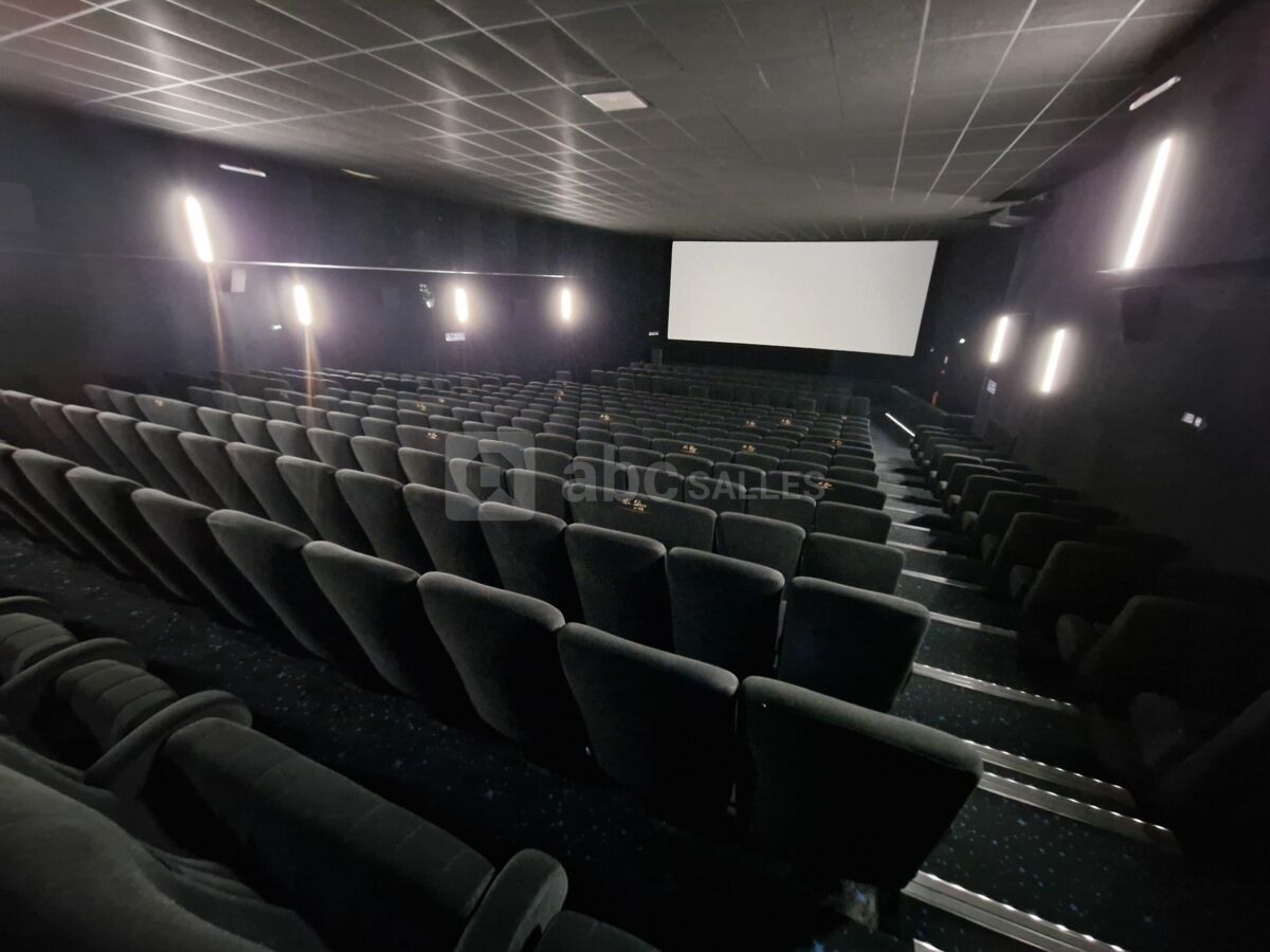 Salle 5, vue salle, 366 places