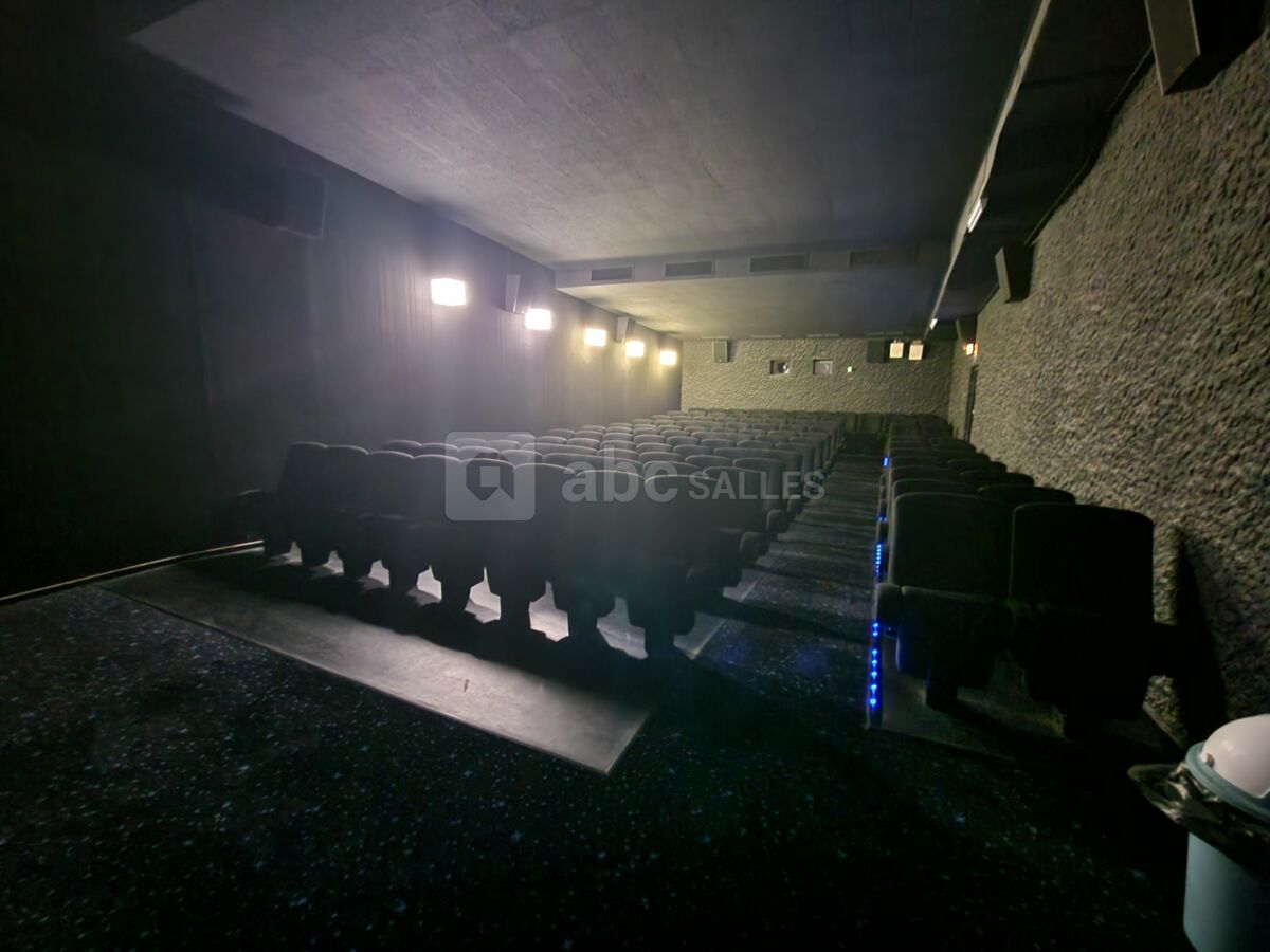 Salle 6, vue sièges, 110 places
