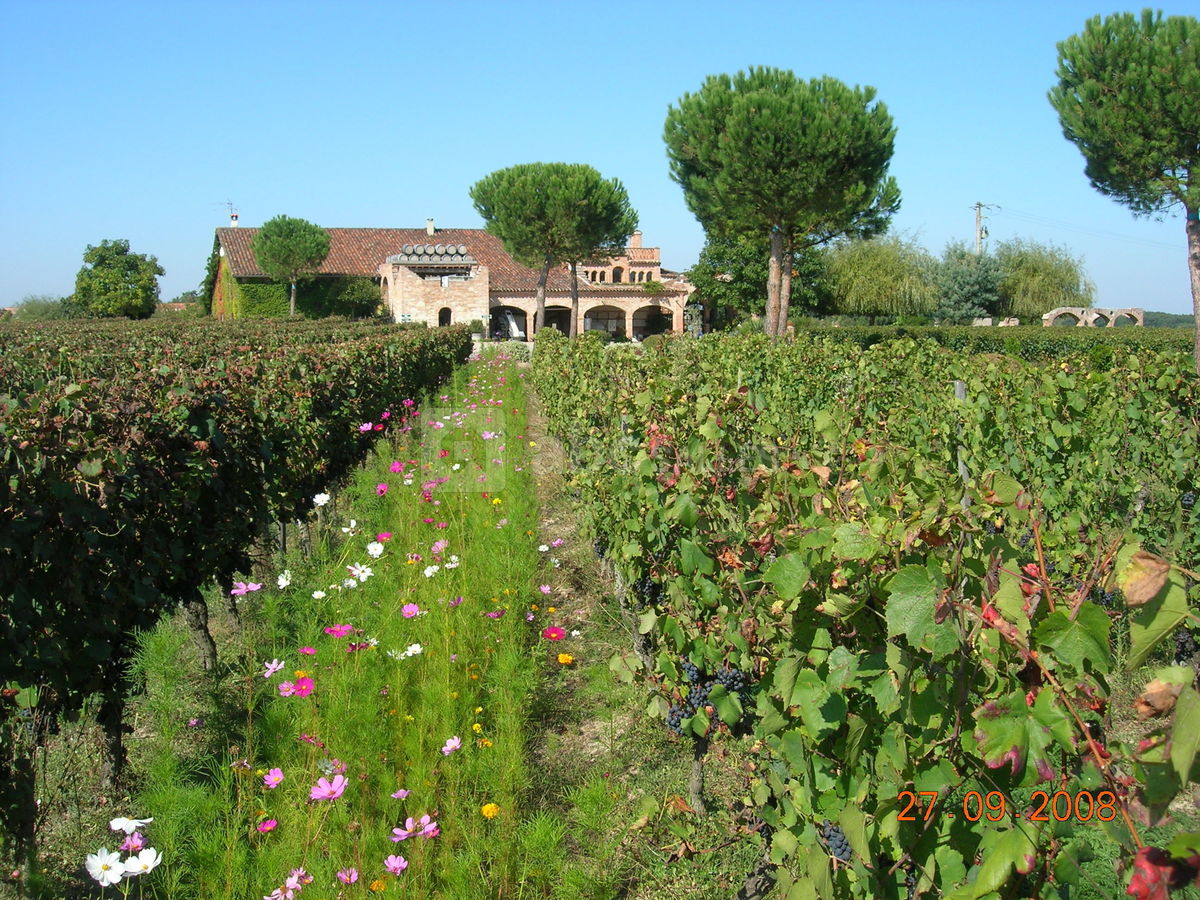 Salle de réception vue depuis les vignes