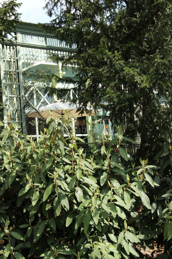 Terrasse du Lac