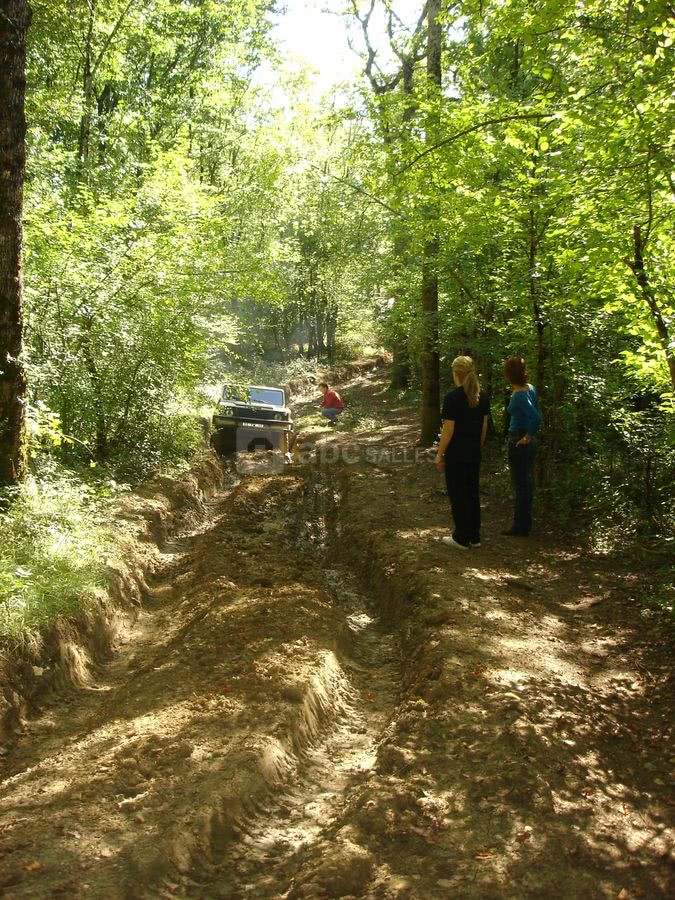 Château de Thenissey