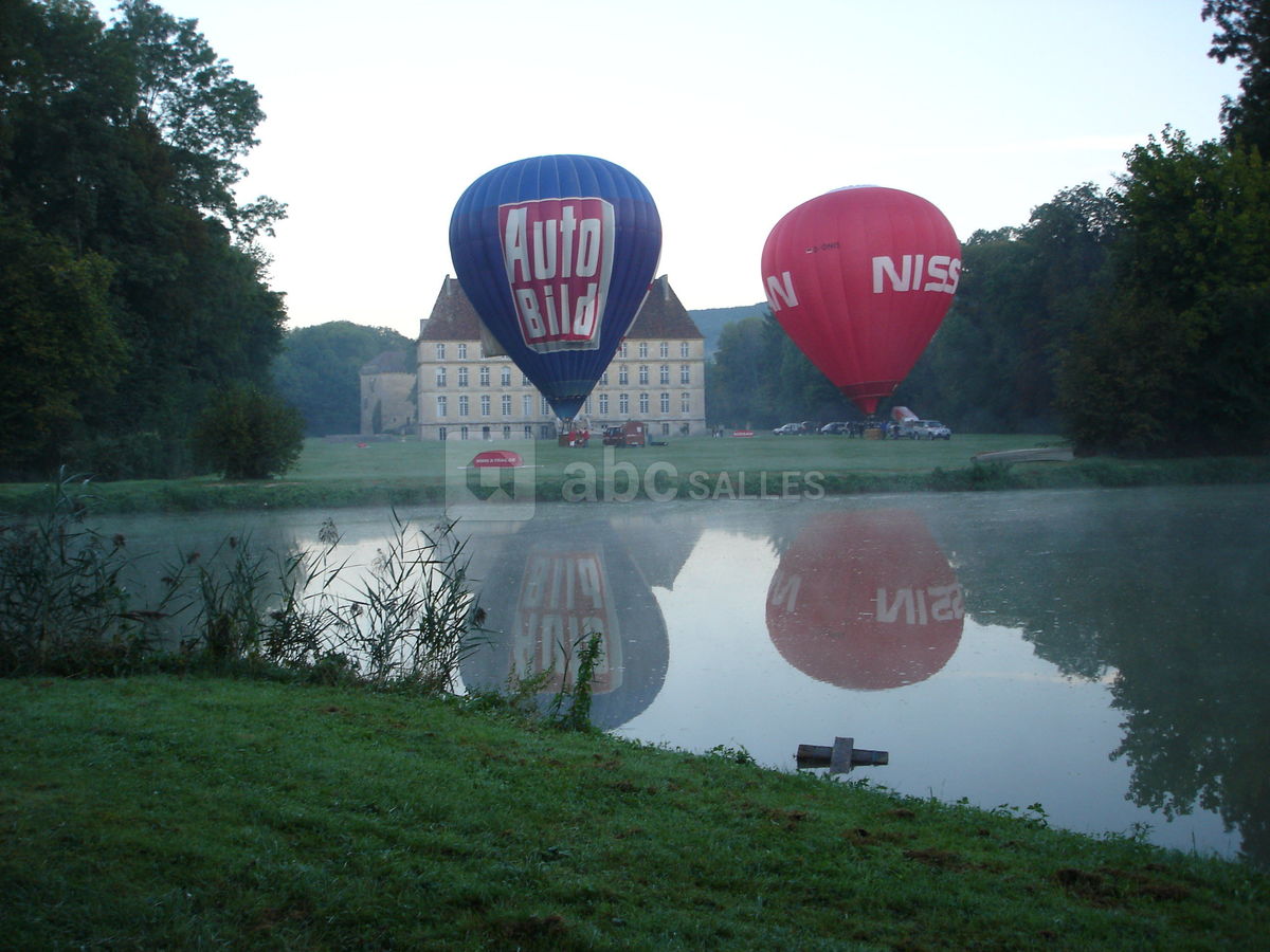 Château de Thenissey