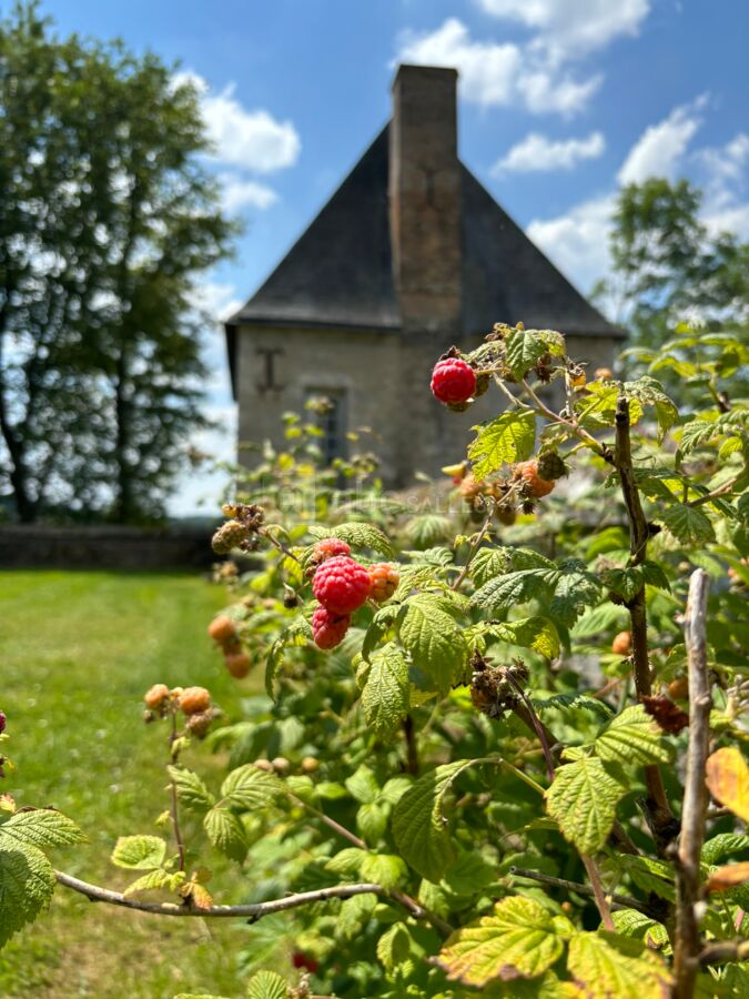 Dessert dans le verger !