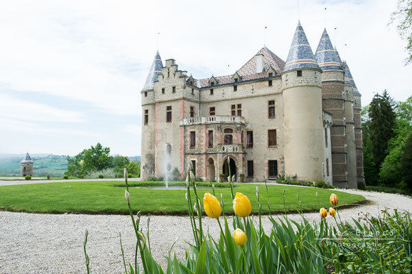 Château de Pupetières
