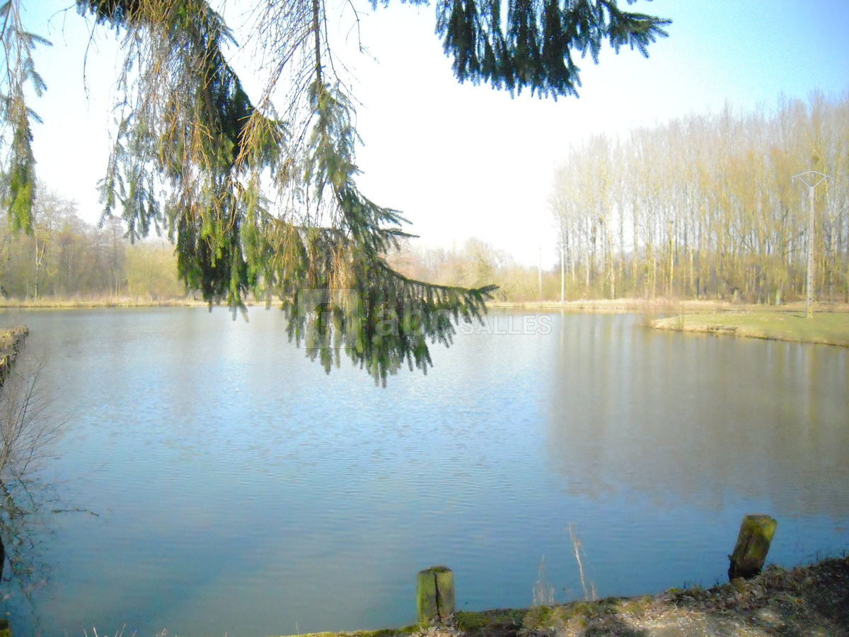 Étang à truites