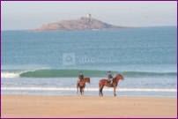 Promenade à cheval à saint michel