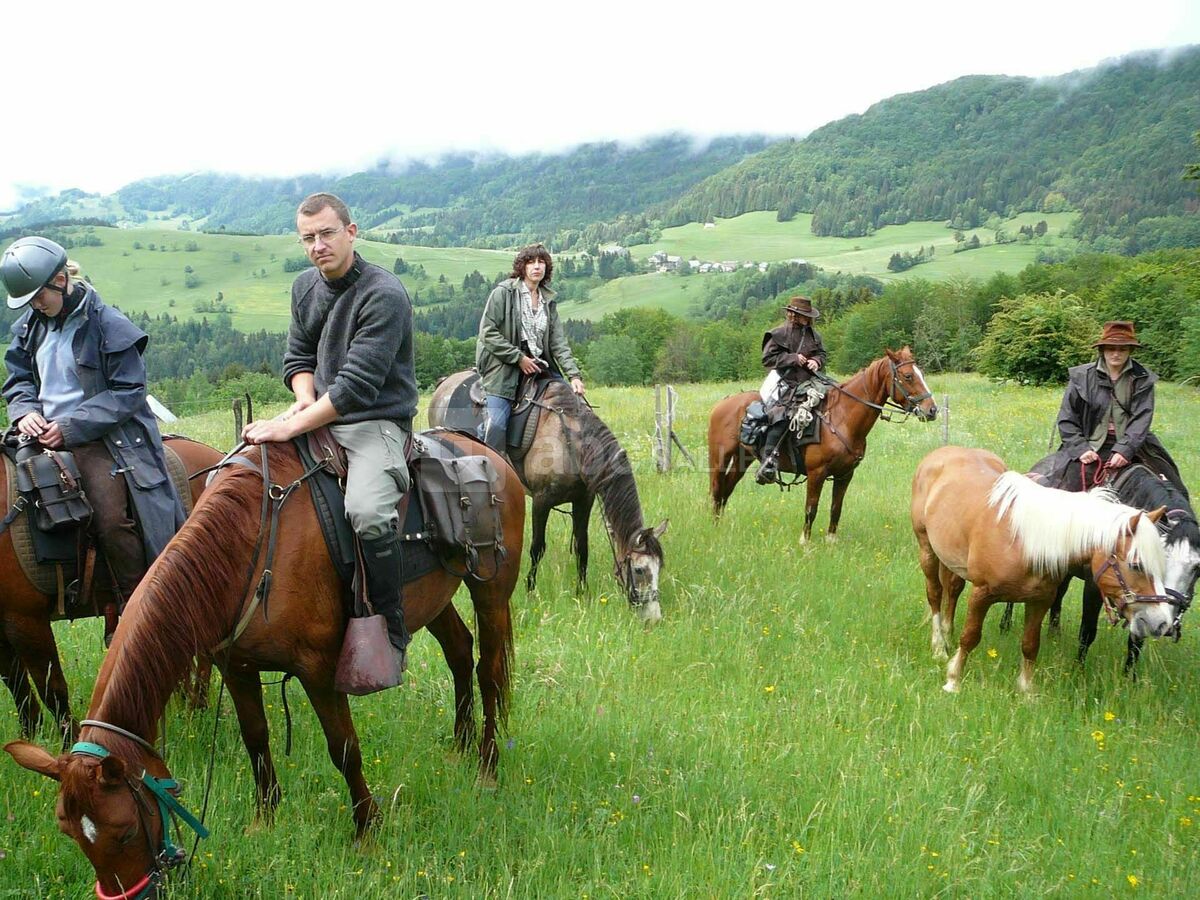 Equitation