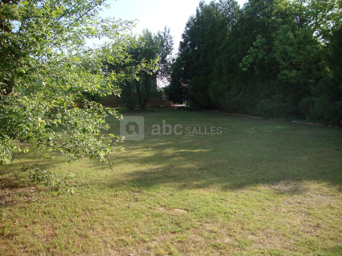 Vue sur espace vert
