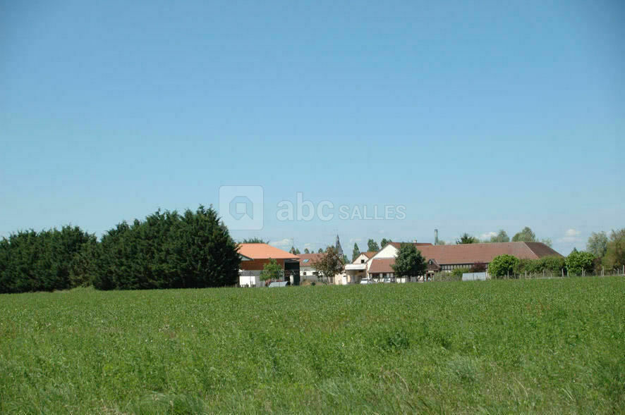 Le champs de la grange