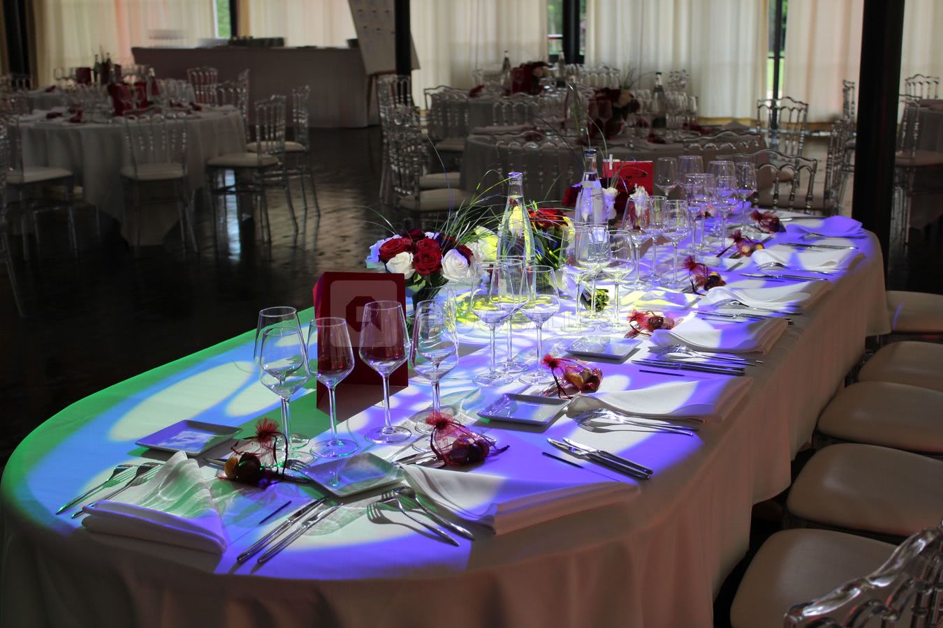 Château de la Cour Senlisse