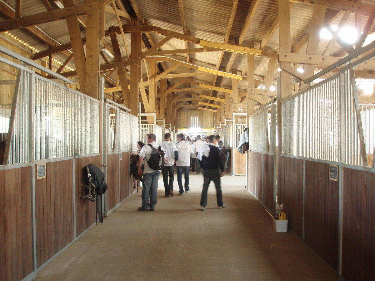 Visite écurie du centre de soins