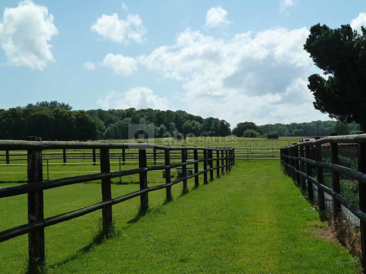 Départ de l'allée cavalière