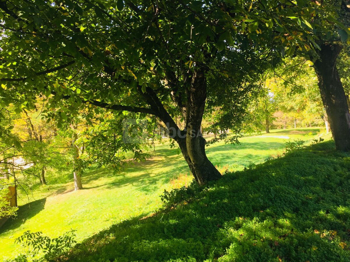 Parc autour du ranch