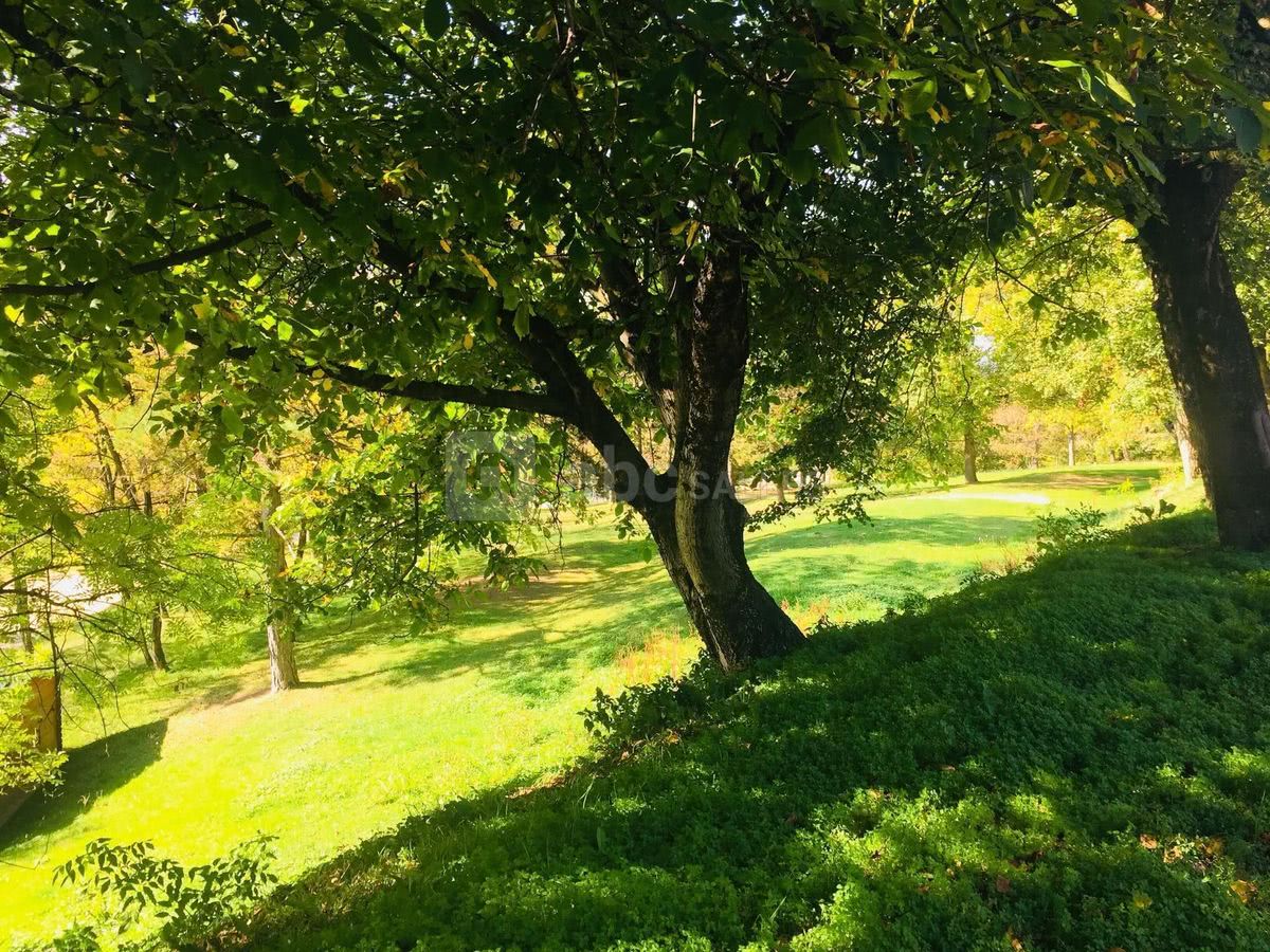 Notre parc