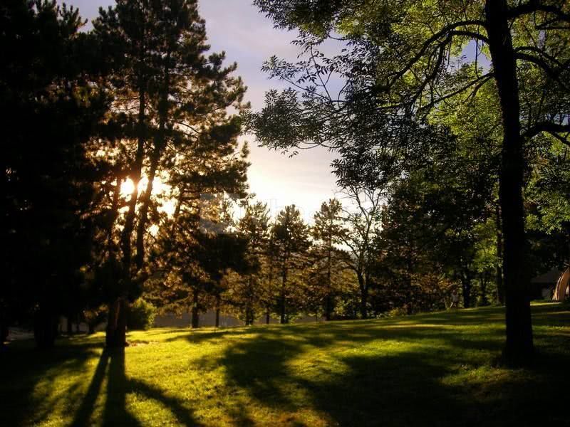 Notre parc