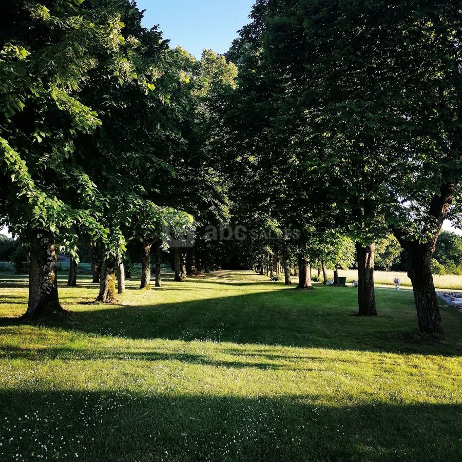 Allée de la foret