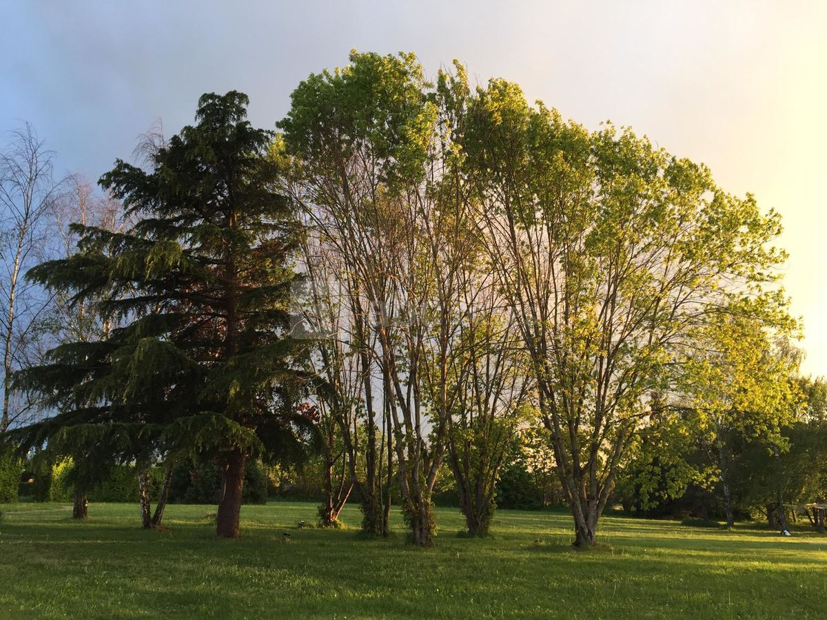 Le château des Vieux Melays