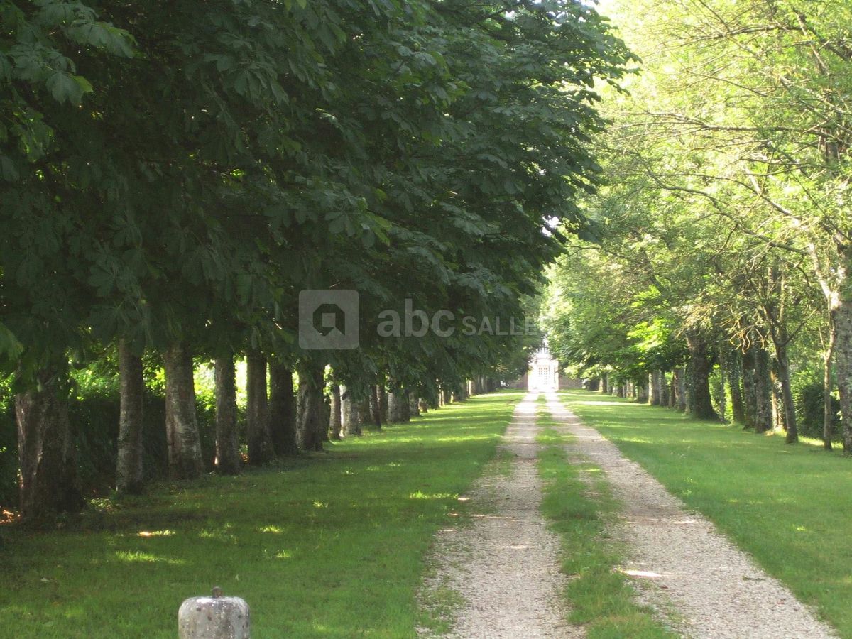 L'allée du château