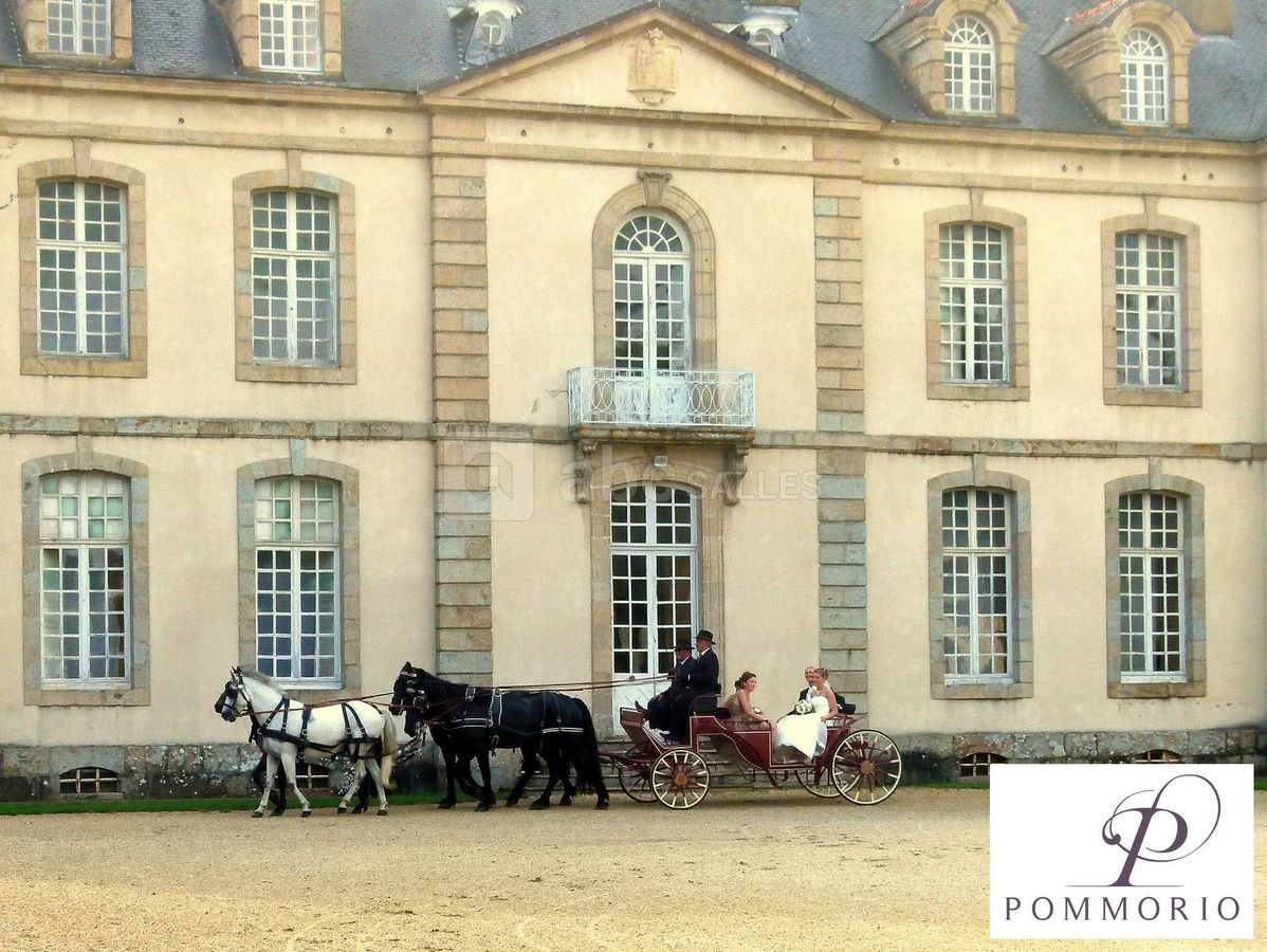 Chateau de Pommorio, salle de reception
